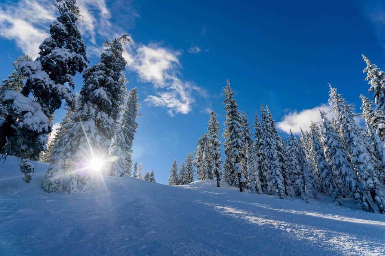 Hotel Savoy Colle Sestriere Zewnętrze zdjęcie